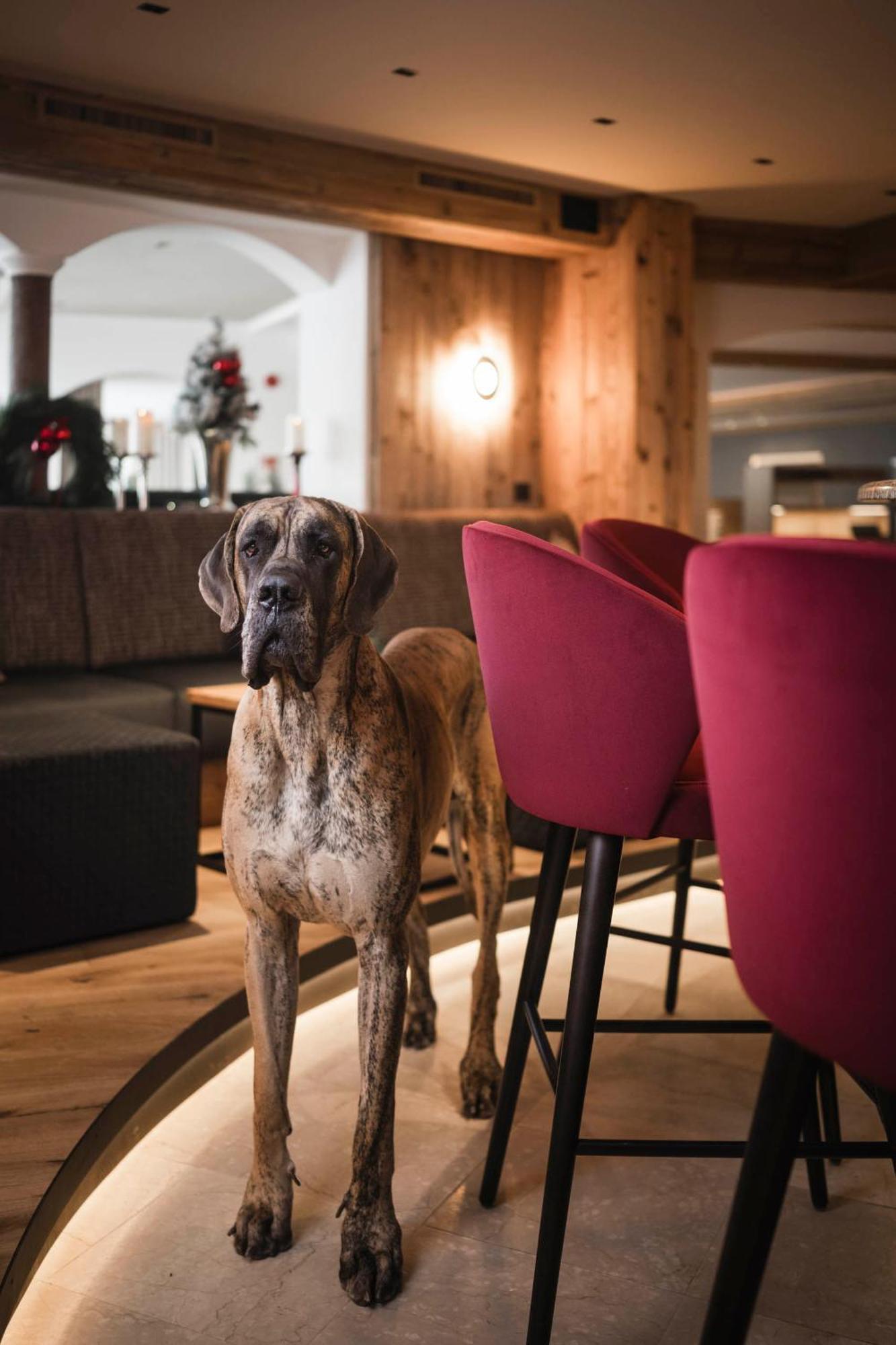 Alpenheim Charming & Spa Hotel Ортизей Екстериор снимка